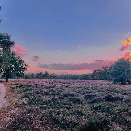 אוטרלו Sluwe Vos: Ontspannen In Het Bos! מראה חיצוני תמונה
