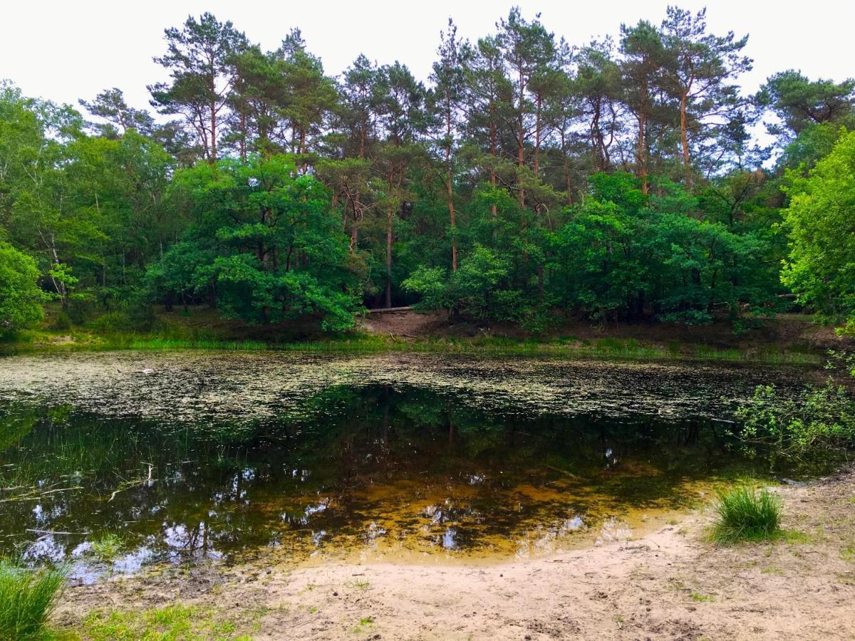 אוטרלו Sluwe Vos: Ontspannen In Het Bos! מראה חיצוני תמונה